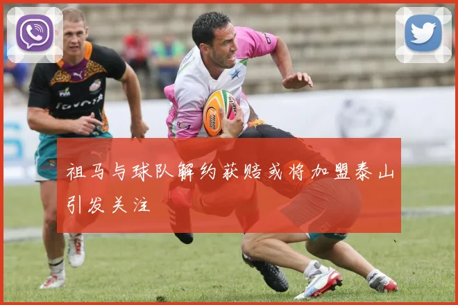 祖马与球队解约获赔或将加盟泰山引发关注