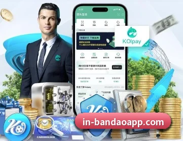 半岛体育 APP 深度功能