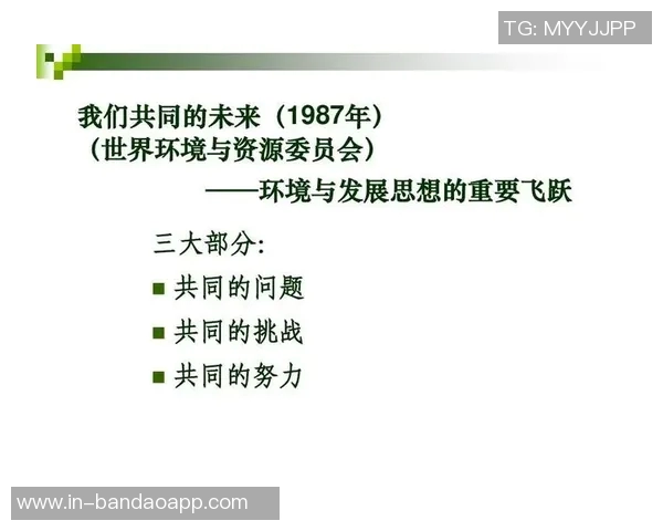 马克西谈进步之路:从8分到17分的飞跃与20分后的挑战